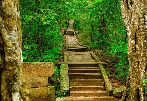 Ritigala Paths